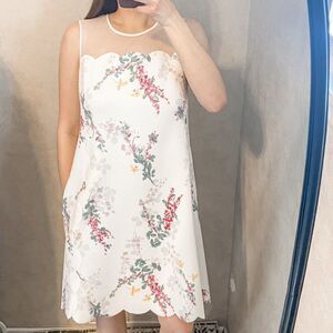 Ted Baker Cainey Sleeveless Shift Dress Sorbet Floral